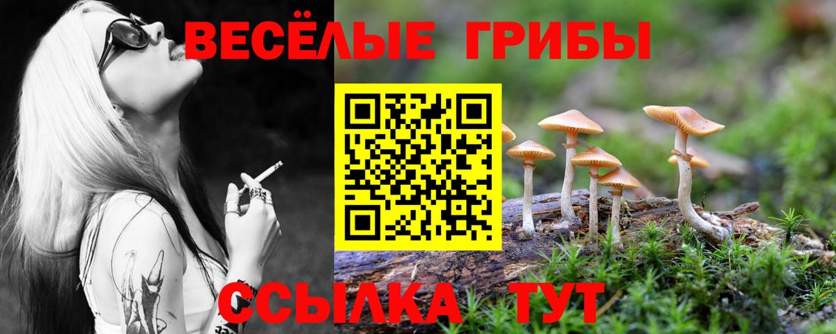 Аша  Галлюциногенные грибы MAGIC MUSHROOMS  Вход с VPN  где можно купить   Галлюциногенные грибы Cubensis 