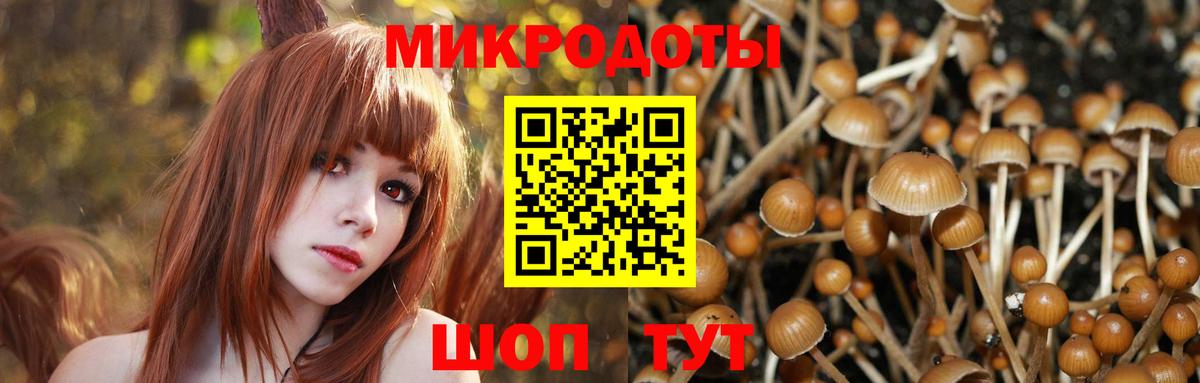 Псилоцибиновые грибы ЛСД Аша