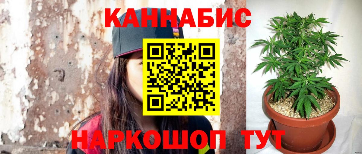 МАРИХУАНА гибрид  Марихуана THC 21%  Аша  Вход с VPN 